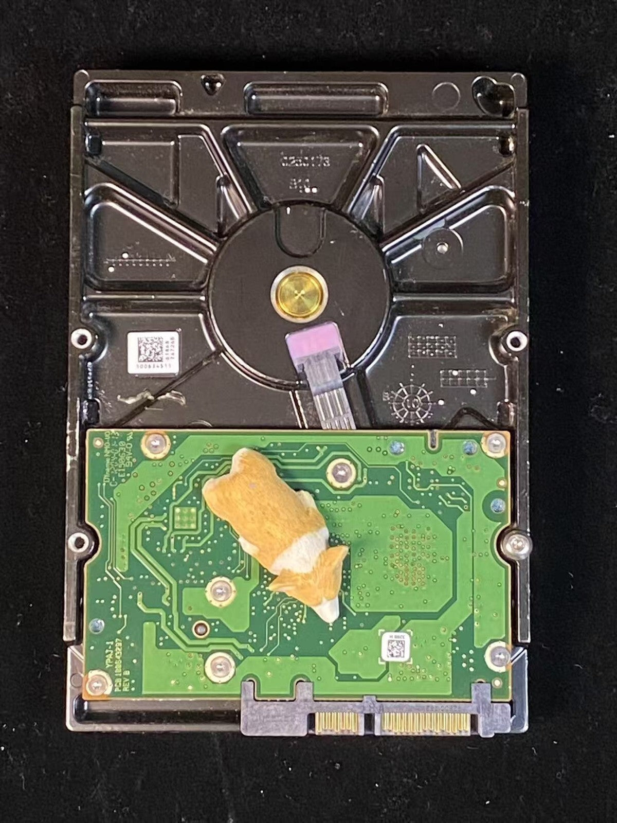 FX0XN DELL ST1000NM0011 SEAGATE CONSTELLATION ES 1TB SATA III 7.2K 3.5" LFF HDD