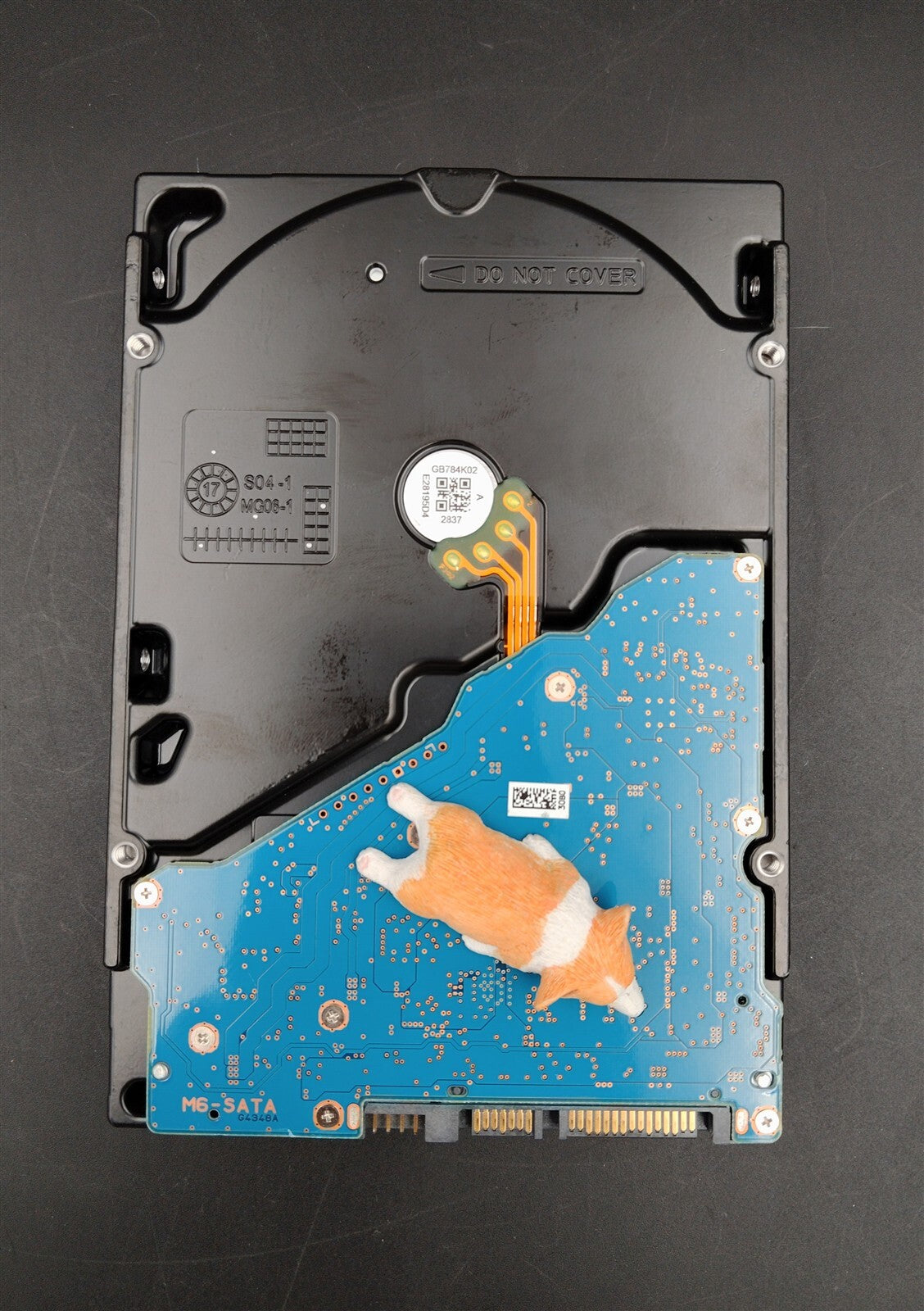 9X09C 09X09C MG06ACA800EY DELL 8TB 7.2K 6G 512E SATA 3.5" ENTERPRISE HARD DRIVE