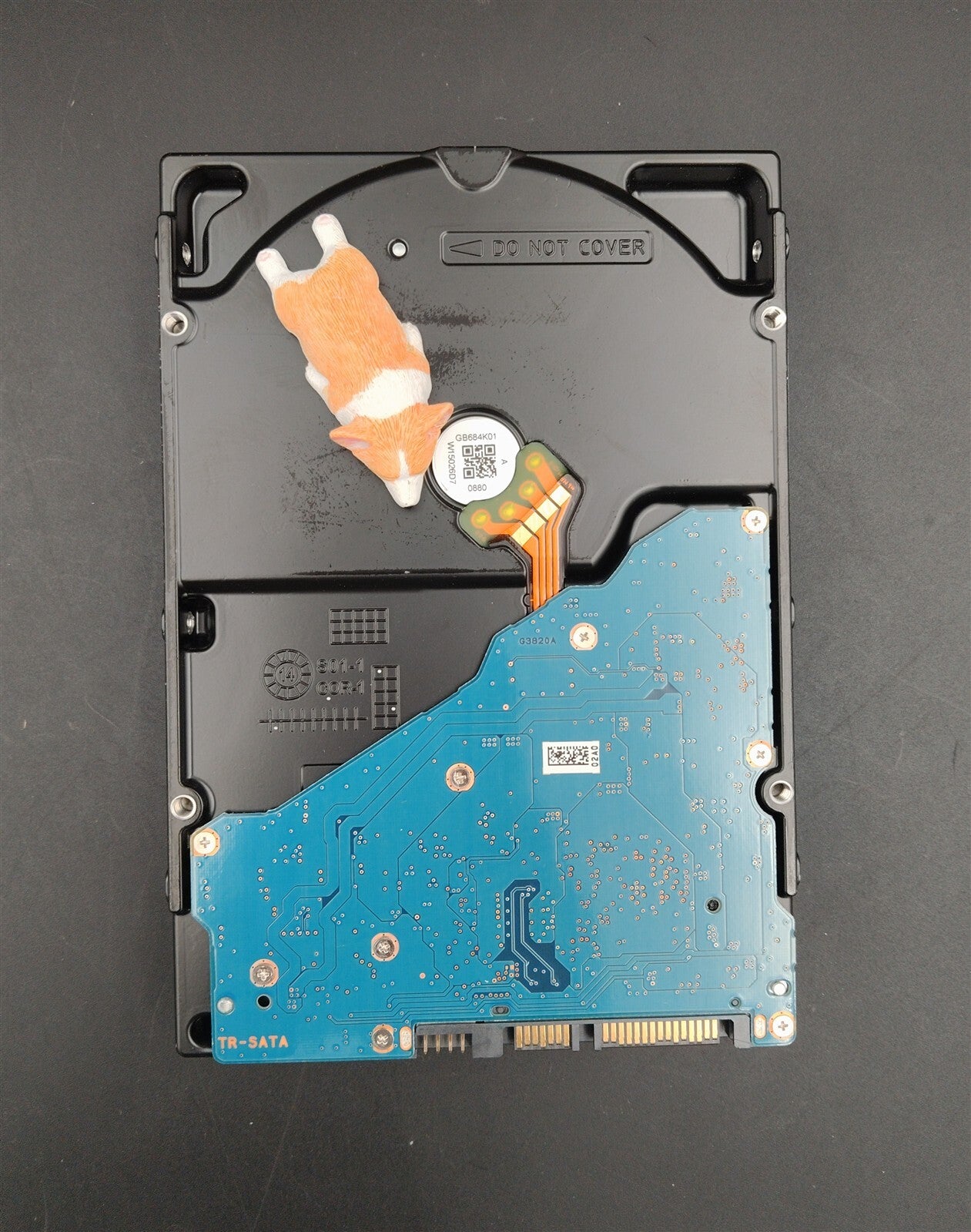 1HMTM 01HMTM MG04ACA600A DELL 6TB 7.2K 6GB/S 3.5" SATA LFF HDD HDEPS20DAA51