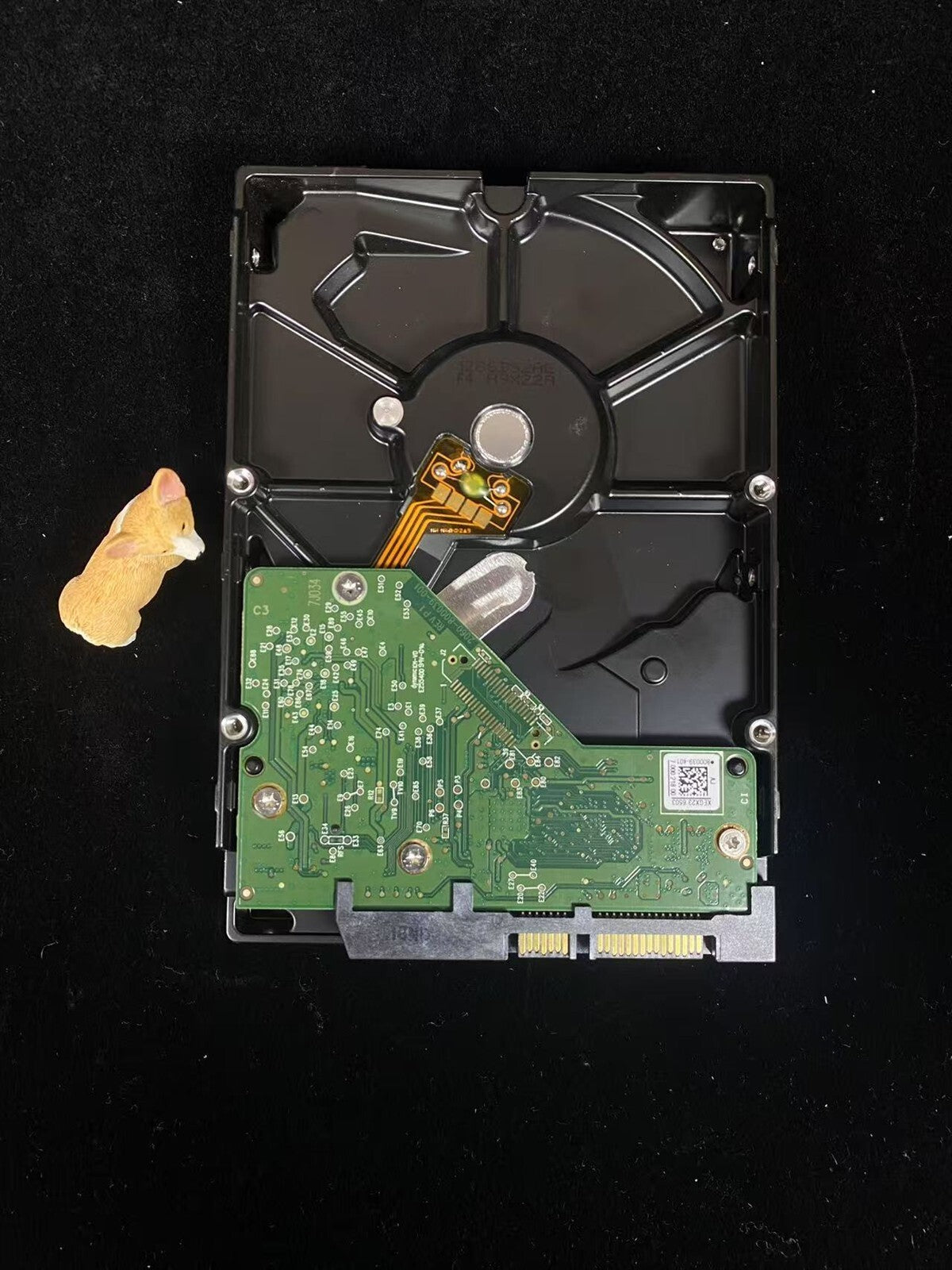 8JYXK 08JYXK DELL 1TB 7.2K 6G SATA 3.5" 64MB CACHE LFF HARD DRIVE WD10EZEX
