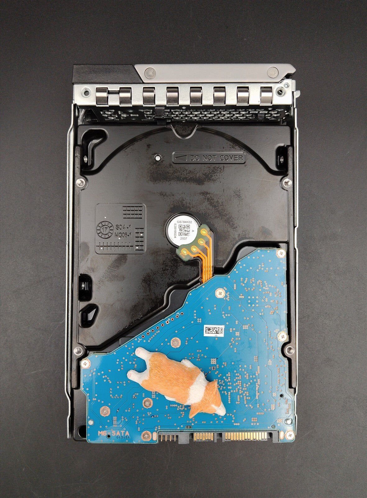 9X09C 09X09C MG06ACA800EY DELL 8TB 7.2K 6G 512E SATA 3.5" ENTERPRISE HDD W/X7K8W