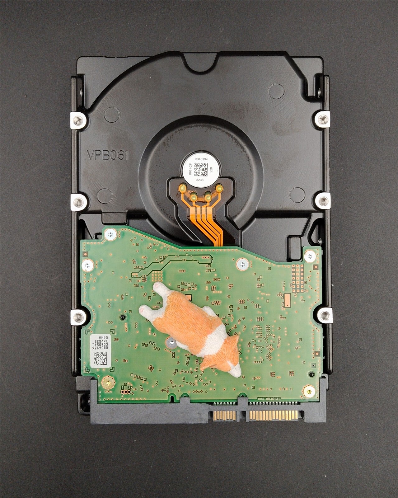 1WMVC 01WMVC HUS728T8TALE6L0 DELL 8TB 7.2K 6G 512E SATA 3.5" LFF HARD DRIVE