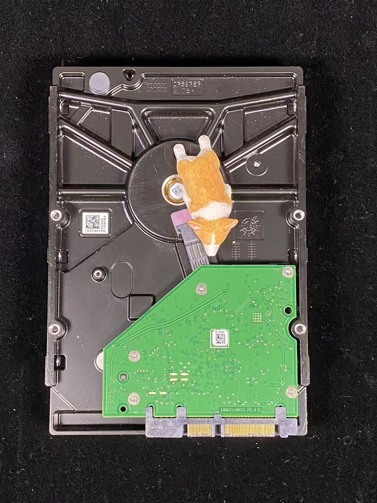 ST3000VN007 SEAGATE IRONWOLF 3TB 5.4K 6G SATA 3.5" LFF NAS HDD