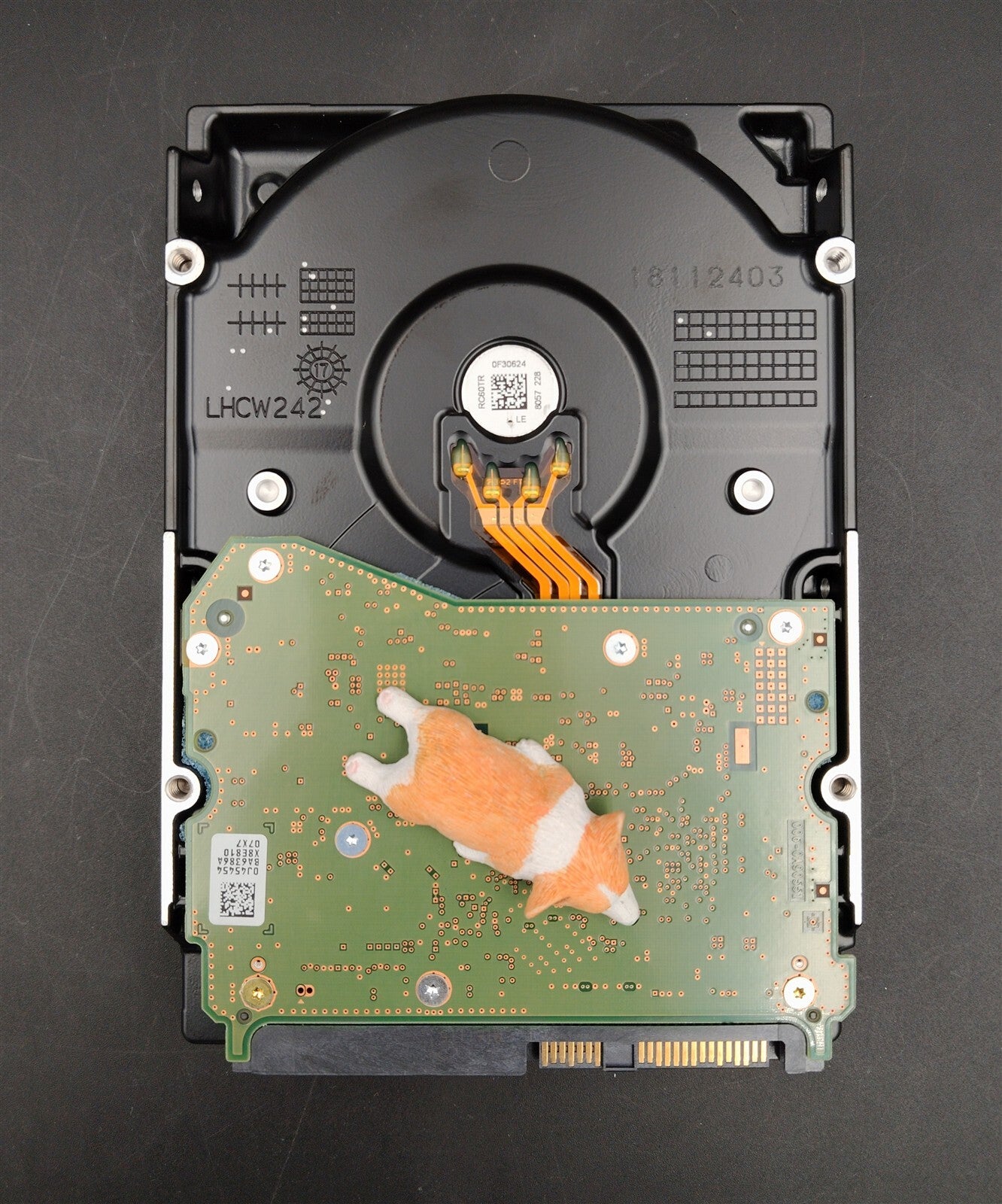 9HXK6 09HXK6 HUH721212AL5200 DELL 12TB 7.2K 12G 512E SAS 3.5" LFF HDD 100 HEALTH