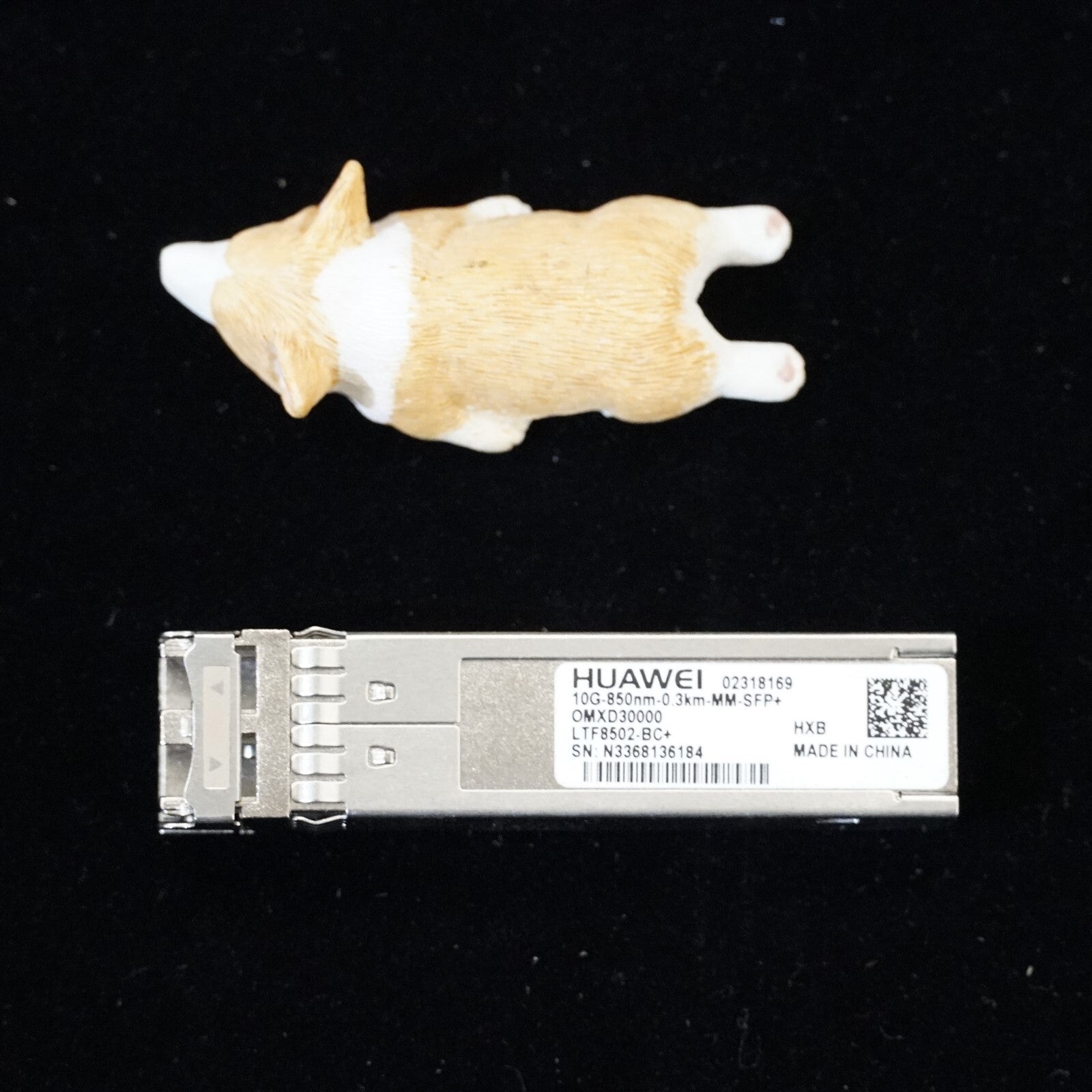 HUAWEI 02318169 OMXD30000 10Gb-850NM-0.3KM-MM-SFP+ LTF8502-BC+