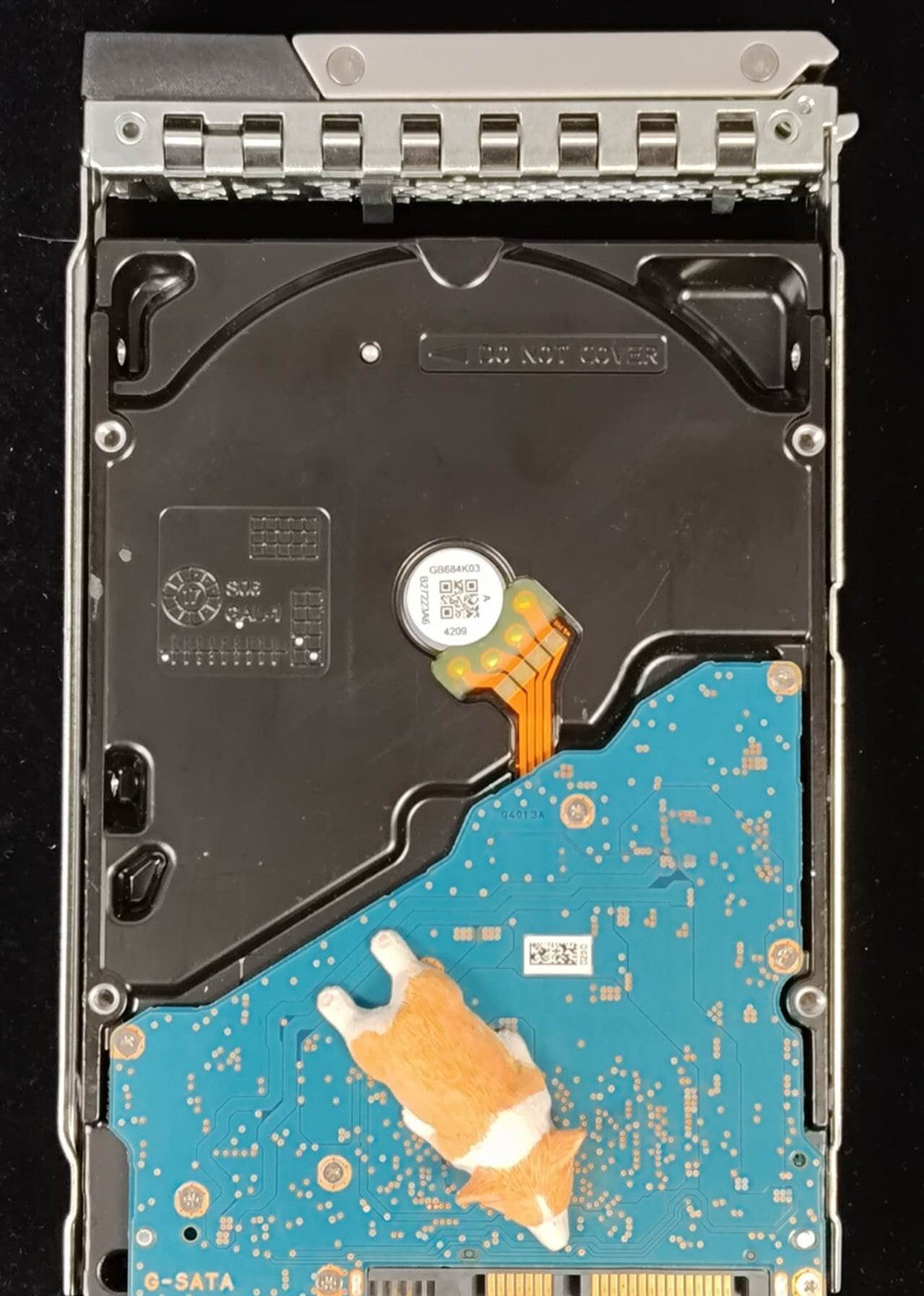 4WXV5 DELL TOSHIBA 8TB 7.2K 6G SATA 3.5" LFF HDD MG05ACA800E 04WXV5 R740 R640