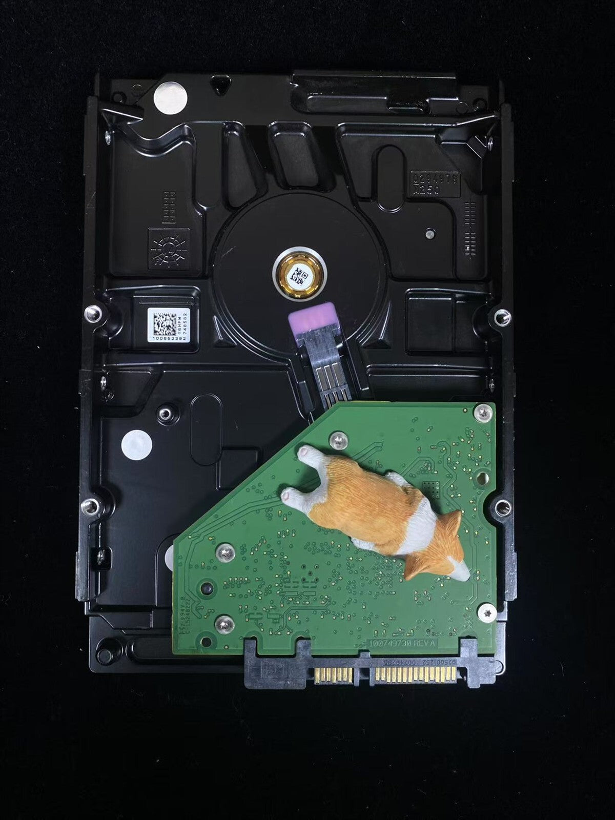 6TFN1 06TFN1 DELL SEAGATE 1TB 7.2K 6G SATA 3.5" LFF HDD ST1000DM003