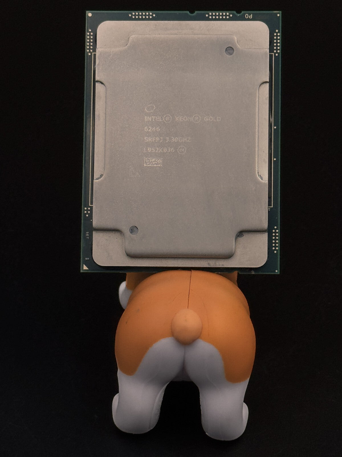 SRFPJ INTEL XEON GOLD 6246 12 CORE 3.3GHz 24.75MB LGA3647 24.75MB 165W PROCESSOR