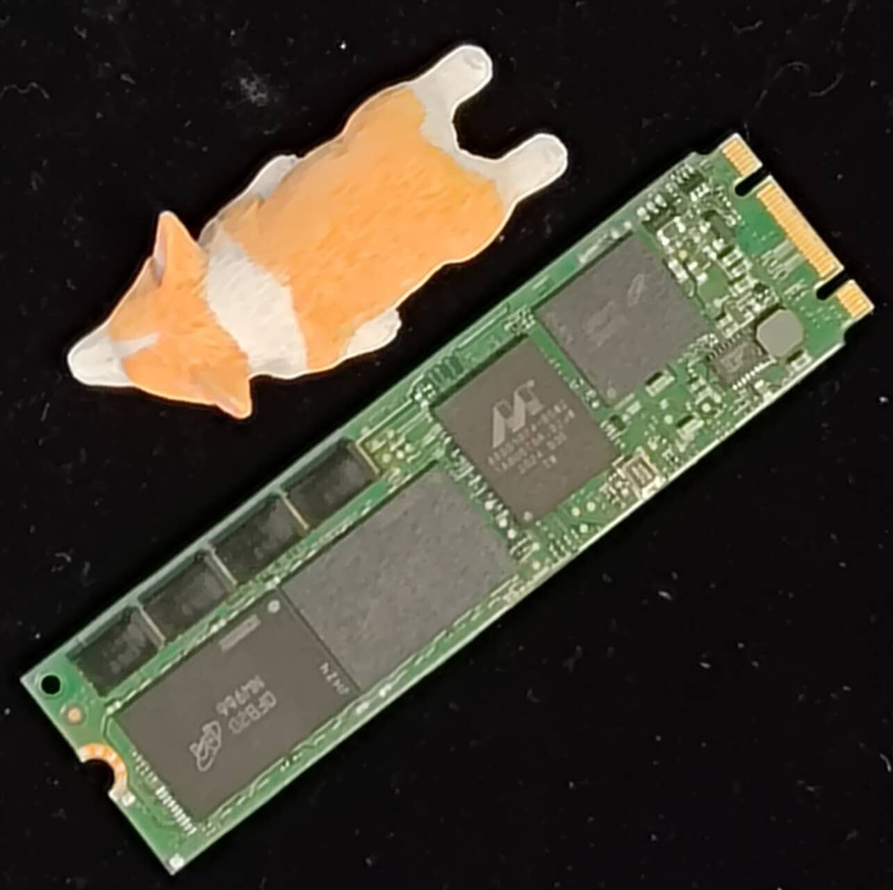 7RKD7 07RKD7 DELL 480GB M.2 6G SATA 512E SOLID STATE DRIVE MTFDDAV480TDS