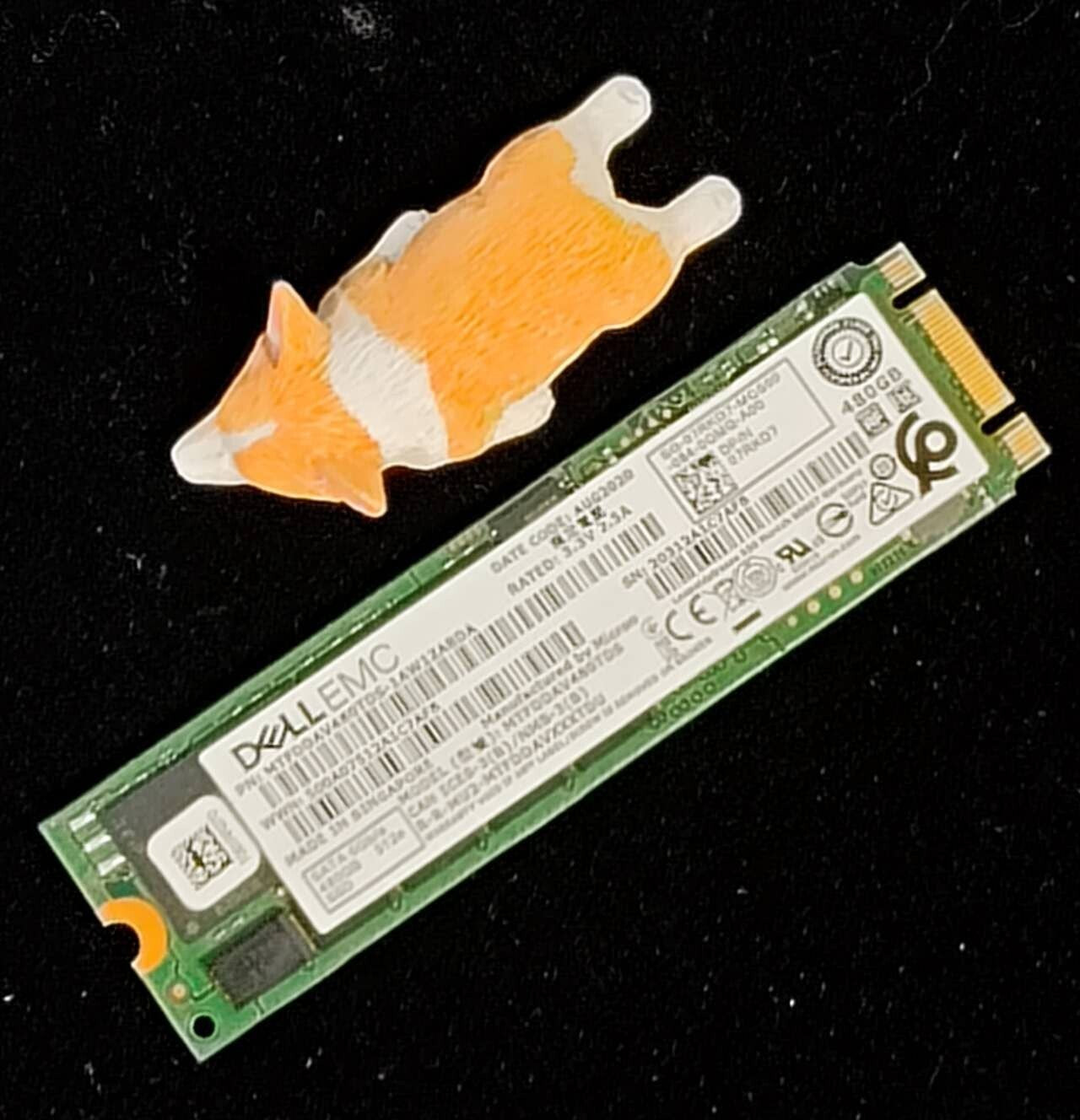 7RKD7 07RKD7 DELL 480GB M.2 6G SATA 512E SOLID STATE DRIVE MTFDDAV480TDS