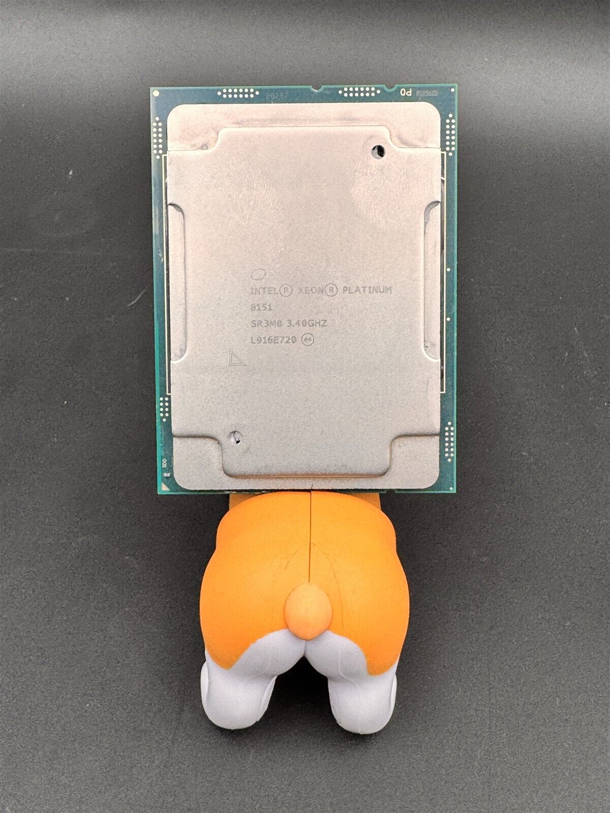 5592525