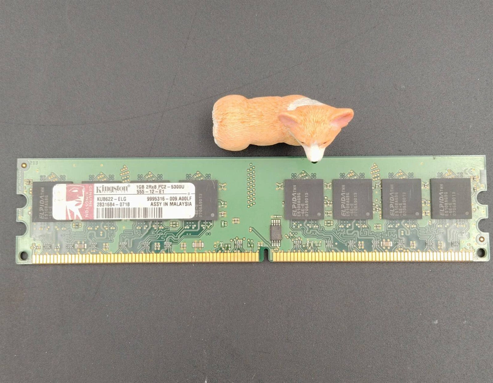 KU8622-ELG KINGSTON 1GB 2Rx8 PC2-5300U DDR2 DIMM SERVER MEMORY 9995316-009.A00LF